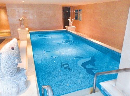 游泳池水質維護,游泳池水質檢測,游泳池消毒,游泳池水處理,智能游泳池投藥機